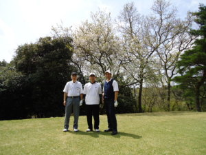 源氏山 桜とかつお 春きたる。 源氏山 桜とかつお 春きたる。